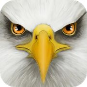 Скачать взломанную Ultimate Bird Simulator [Разблокировано все] версия Зависит от устройства apk на Андроид