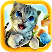 Скачать взломанную Симулятор Кошки [Бесконечные деньги] версия 2.1.1 apk на Андроид