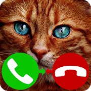 Скачать взломанную звонок поддельный кот игра [Бесконечные деньги] версия 4.0 apk на Андроид