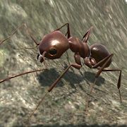 Скачать взломанную Ant Simulation 3D - Insect Survival Game [Много монет] версия 3.3.4 apk на Андроид