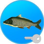 Скачать взломанную Реальная Рыбалка (ключ). Симулятор рыбной ловли. [Бесконечные деньги] версия 1.9.8.428 apk на Андроид