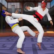 Скачать взломанную Taekwondo Fights 2020: Martial Art Fighting Games [Бесконечные деньги] версия 1.0.2 apk на Андроид