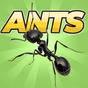Скачать взломанную Pocket Ants: Симулятор Колонии [Бесконечные деньги] версия 0.0561 apk на Андроид