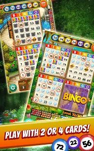 Скачать взломанную Bingo Quest - Summer Garden Adventure [Разблокировано все] версия Зависит от устройства apk на Андроид