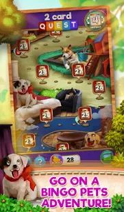 Скачать взломанную Bingo Pets Party: Dog Days [Бесконечные деньги] версия 1.0.2 apk на Андроид