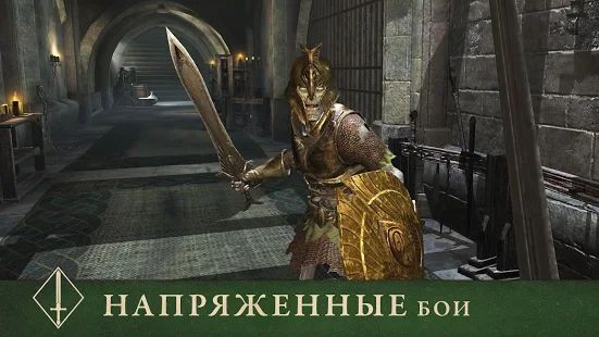 Скачать взломанную The Elder Scrolls: Blades [Много монет] версия 1.6.3.984769 apk на Андроид