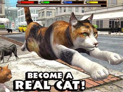 Скачать взломанную Ultimate Cat Simulator [Много монет] версия Зависит от устройства apk на Андроид