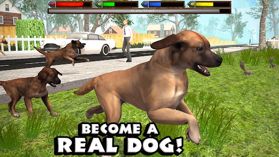 Скачать взломанную Ultimate Dog Simulator [Много монет] версия 1.2 apk на Андроид