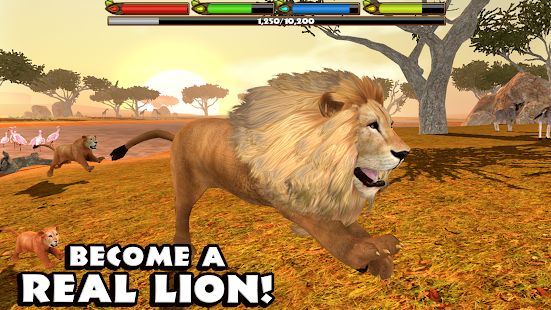Скачать взломанную Ultimate Lion Simulator [Разблокировано все] версия Зависит от устройства apk на Андроид