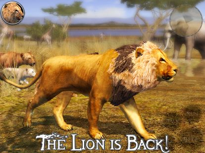 Скачать взломанную Ultimate Lion Simulator 2 [Много монет] версия 1.2 apk на Андроид